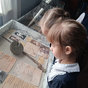 Культура для школьников
