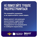 «Основные правила безопасности в сети Интернет». 
